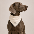 THE BANDANA