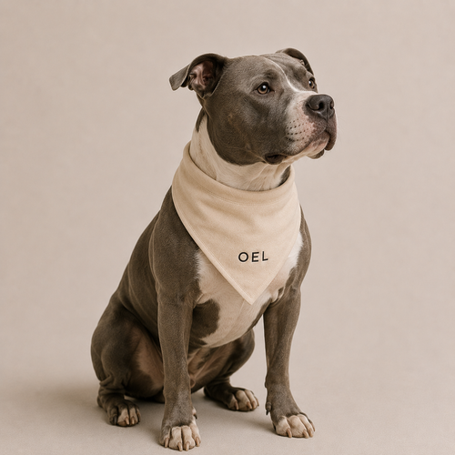 THE BANDANA