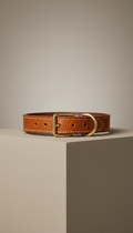 Italian leather dog collar